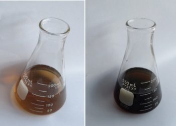 bio_09